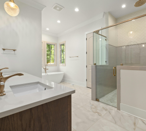 Bathroom Cleaning