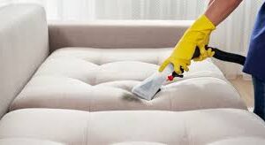 Sofa cleaning