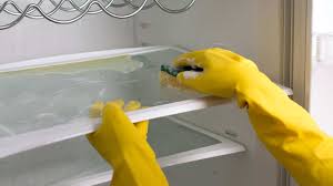 Fridge Cleaning