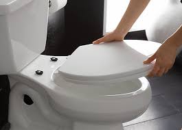 Toilet seat cover replacement