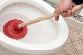 Toilet pot blockage removal