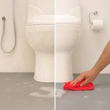 Intense cleaning (2 bathrooms)