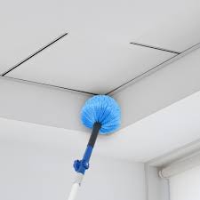 Ceiling & fan cobweb dusting (upto 1 room)